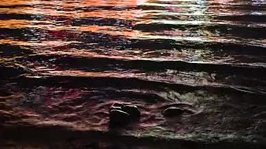 重庆洪崖洞的夜色视频的预览图